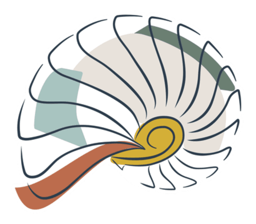 The AGAMAPAI ammonite, a spiral growing outward and never returning to the same point.