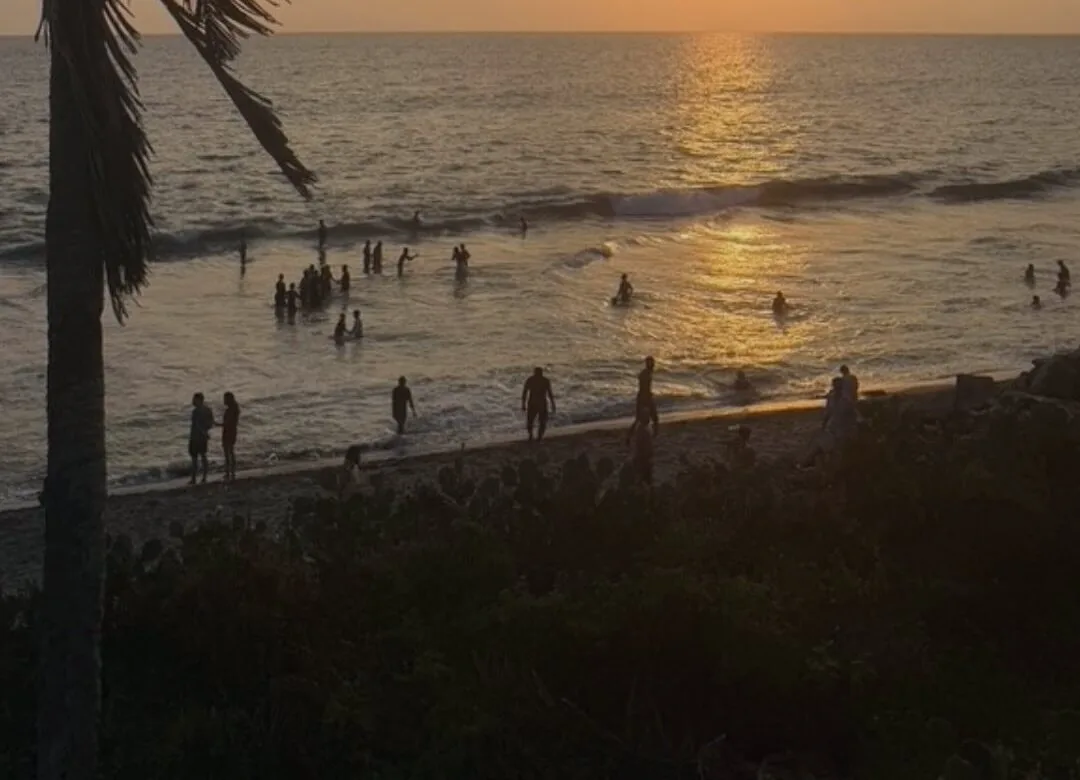 Sunset on a Kerala beach, bathers in silhouette and palm trees in the foreground.